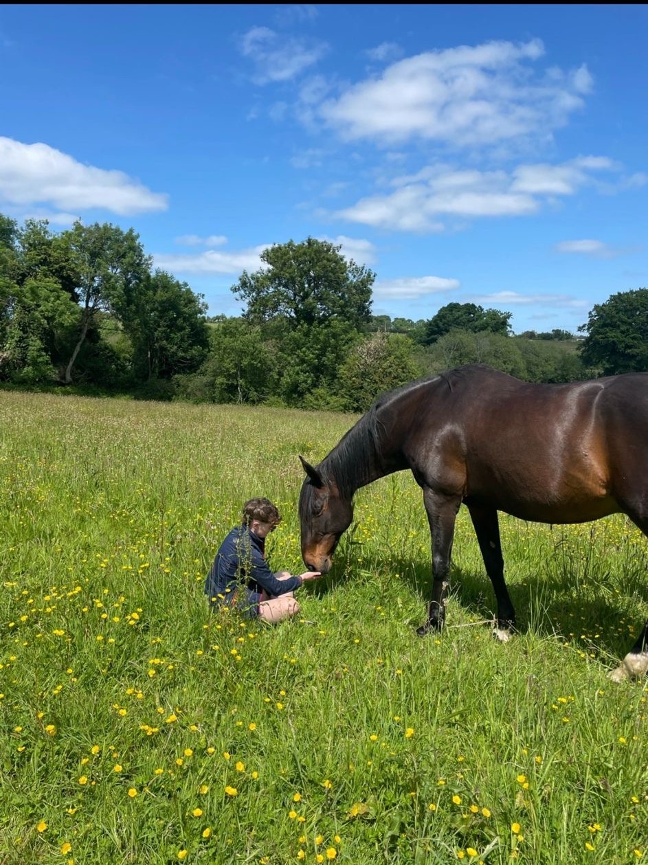 Me in a field with a horse on a sunny day