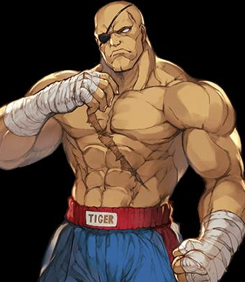 Sagat