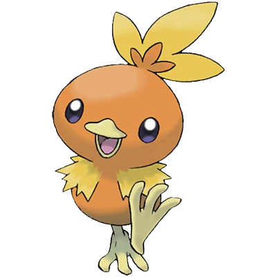 torchic